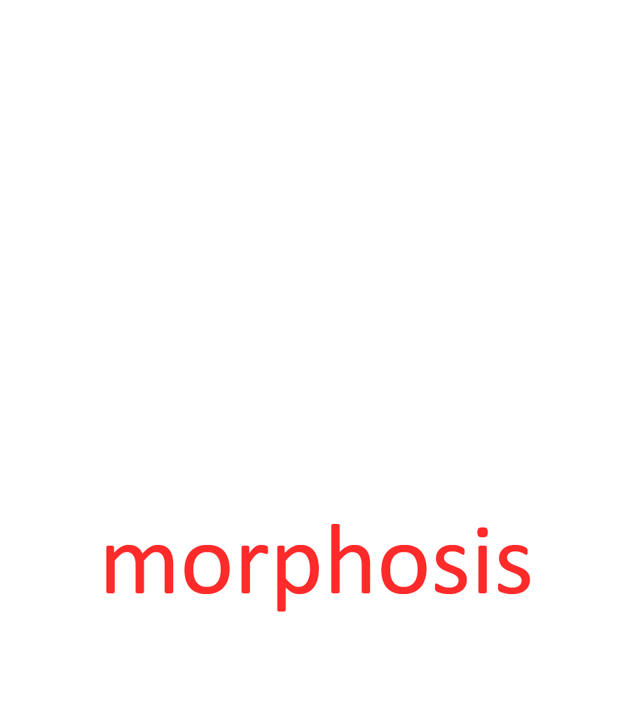 Morphosis Logo